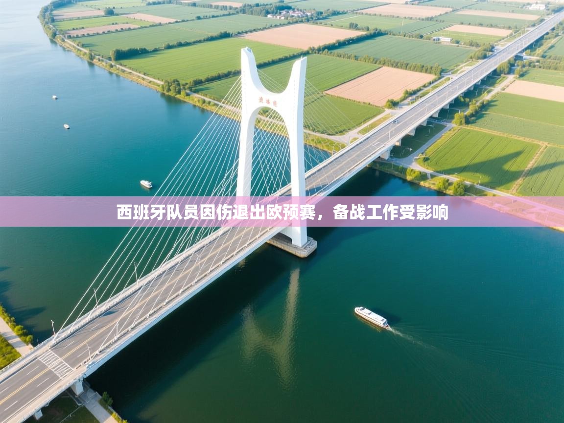 西班牙队员因伤退出欧预赛，备战工作受影响