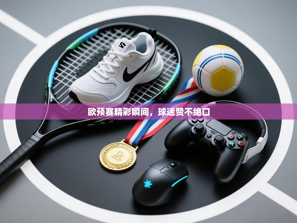 欧预赛精彩瞬间,球迷赞不绝口 第2张
