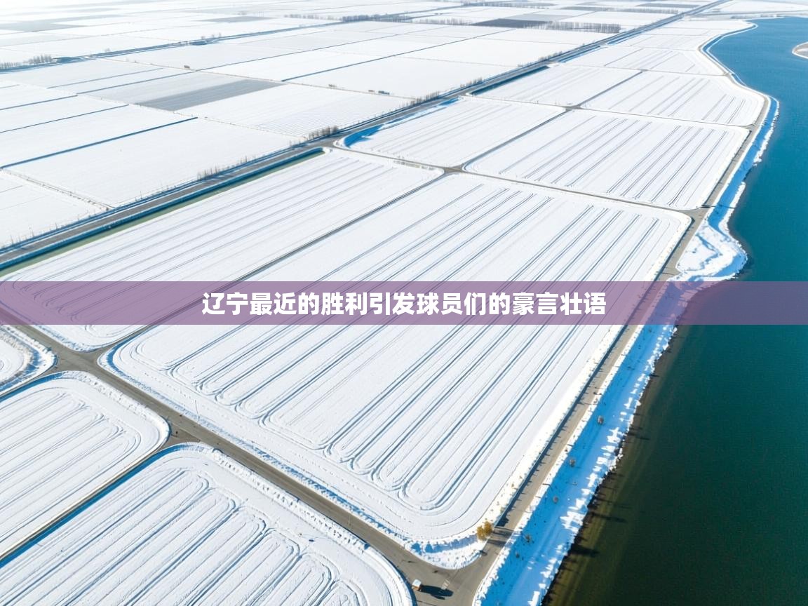 辽宁最近的胜利引发球员们的豪言壮语 第2张