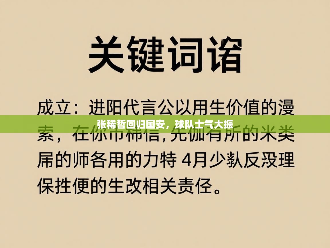 张稀哲回归国安，球队士气大振