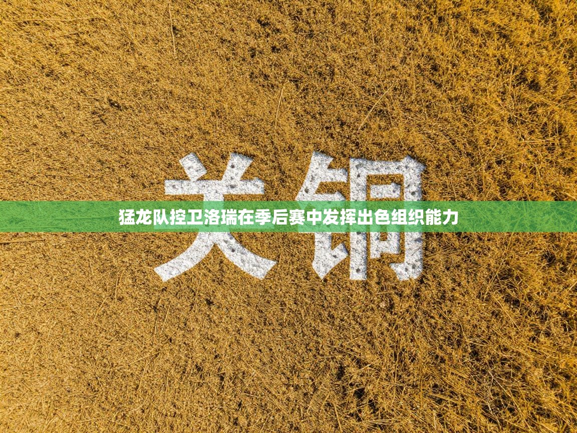 猛龙队控卫洛瑞在季后赛中发挥出色组织能力 第1张