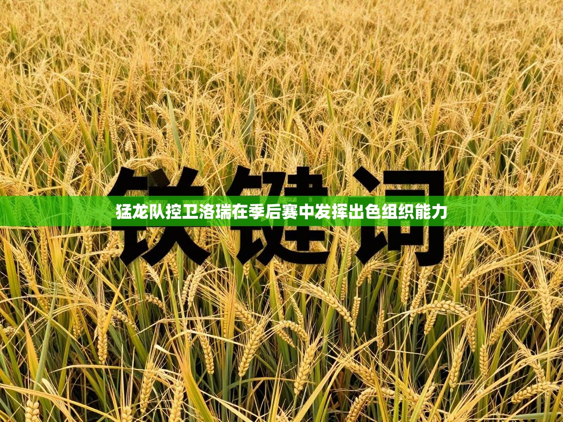 猛龙队控卫洛瑞在季后赛中发挥出色组织能力 第2张