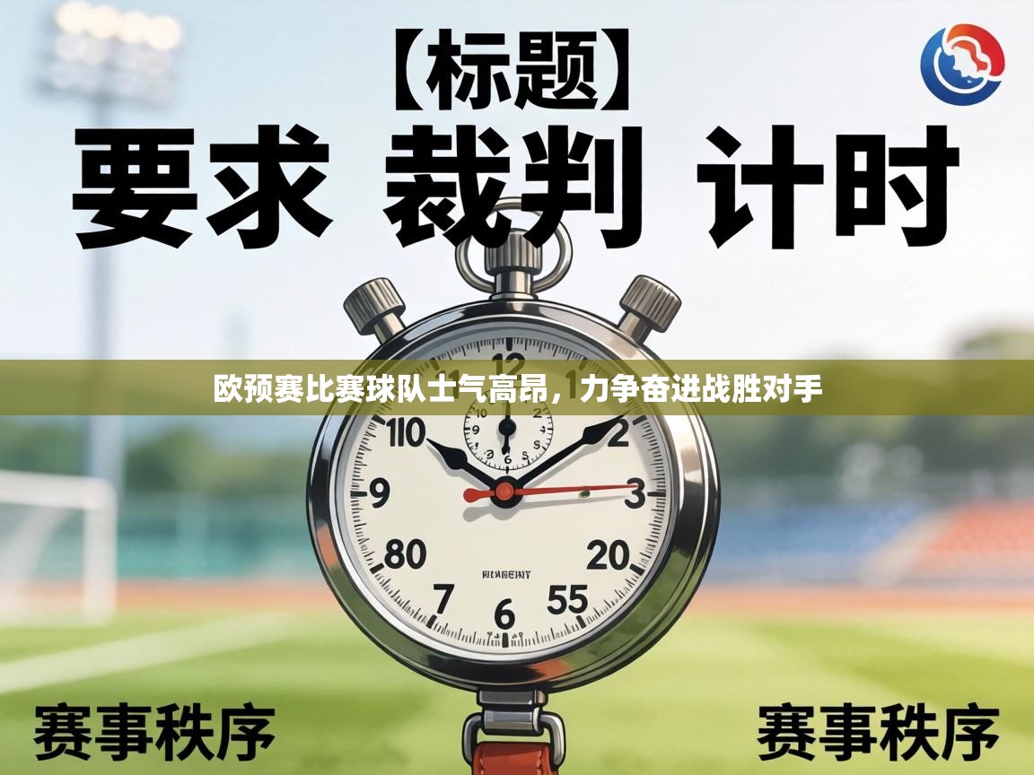 欧预赛比赛球队士气高昂,力争奋进战胜对手 第1张