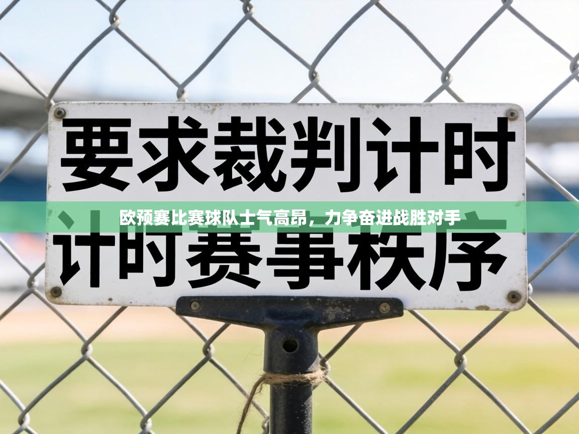 欧预赛比赛球队士气高昂,力争奋进战胜对手 第2张